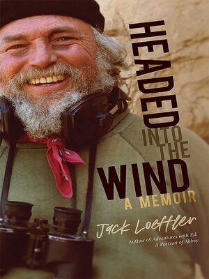 cover image of Headed into the Wind
